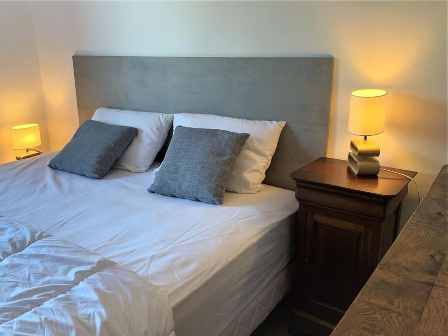 Le 828 : Appartement En Plein Centre De Vannes Eksteriør billede